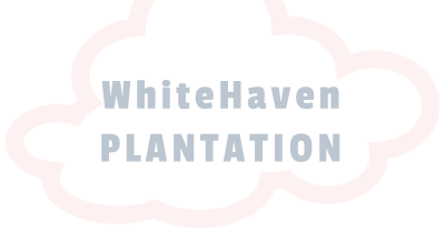White Haven Plantation